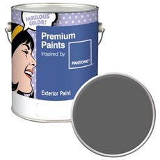 노루페인트 팬톤 실외 벽면 저광 페인트, 18-0601 Charcoal Gray, 4L, 1개
