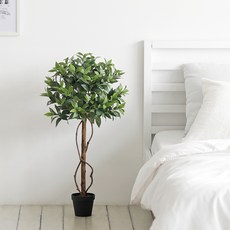 ROOM&HOME 人造月桂樹, 混色, 1個