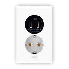 legrand Ifrene USB 充電插座，帶插座白色, 1個