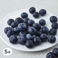 프레시픽 국내산 블루베리 특대, 100g, 5개