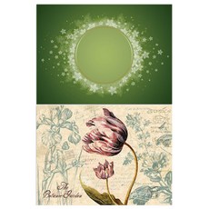 Roem Design 矽膠餐墊 星星1 + 植物園, 混合顏色, 385 x 285 mm, 厚度 1mm, 1個