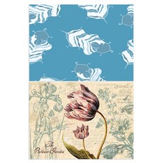 Roem Design 矽膠餐墊 羽毛薄荷 + 植物園, 混合顏色, 385 x 285 mm, 1個