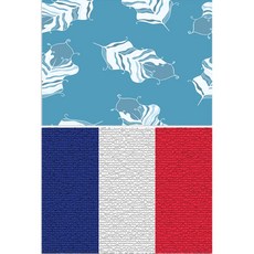 LoemDesign 矽膠餐墊 羽毛薄荷綠 + 法國國旗, 混合顏色, 385 x 285 mm, 厚度 1mm, 1個