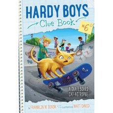 A Skateboard Cat-Astrophe Hardcover, Aladdin Paperbacks
