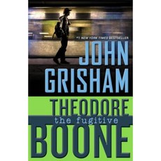 Theodore Boone: The Fugitive Paperback, Puffin Books