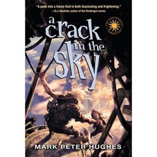 A Crack in the Sky Paperback, Yearling Books
