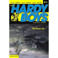 Hurricane Joe Paperback, Aladdin Paperbacks