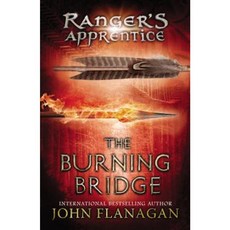 The Burning Bridge Paperback, Puffin Books