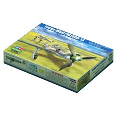 HobbyBoss 1:48 독일 FW190D 13 전투기 프라모델, 1개
