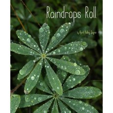 Raindrops Roll Hardcover, Beach Lane Books
