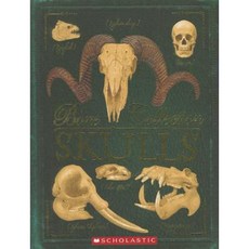 Bone Collection: Skulls Paperback, Scholastic Paperbacks