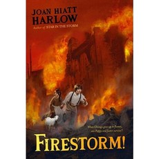 Firestorm! Paperback, Margaret K. McElderry Books