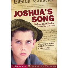 Joshua's Song Paperback, Aladdin Paperbacks