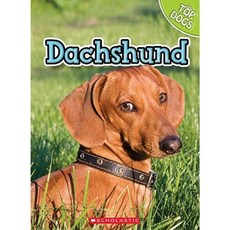Dachshund Library Binding, Scholastic
