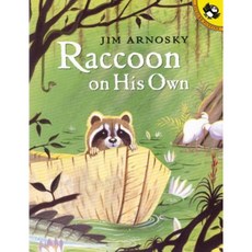 Raccoon on His Own Paperback, Puffin Books