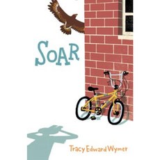 Soar Hardcover, Aladdin Paperbacks