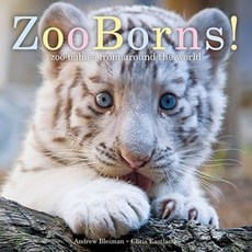 Zooborns!: Zoo Babies from Around the World Hardcover, Beach Lane Books