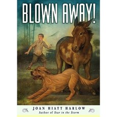 Blown Away! Hardcover, Margaret K. McElderry Books