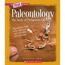 Paleontology: The Study of Prehistoric Life Paperback, Scholastic