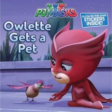 Owlette Gets a Pet Paperback, Simon Spotlight