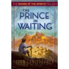The Prince in Waiting Paperback, Aladdin Paperbacks