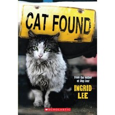 Cat Found Paperback, Chicken House