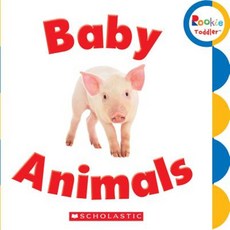 Baby Animals Board Books, Scholastic