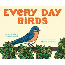 Every Day Birds Hardcover, Orchard Books