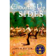 Choosing Up Sides Paperback, Puffin Books