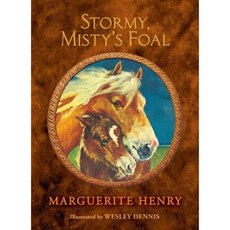 Stormy Misty's Foal Hardcover, Aladdin Paperbacks
