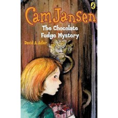CAM Jansen: The Chocolate Fudge Mystery #14 Paperback, Puffin Books