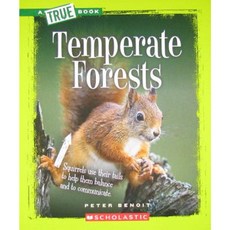 Temperate Forests Paperback, Scholastic