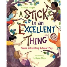 A Stick Is an Excellent Thing: Poems Celebrating Outdoor Play Hardcover, Clarion Books