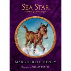 Sea Star: Orphan of Chincoteague Hardcover, Aladdin Paperbacks