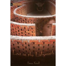 Lost in the Labyrinth Paperback, Graphia Books