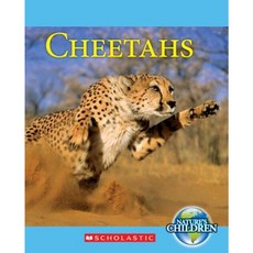 Cheetahs Library Binding, Scholastic