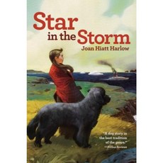 Star in the Storm Paperback, Aladdin Paperbacks