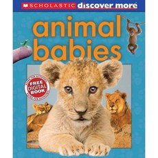 Scholastic Discover More: Animal Babies Hardcover, Scholastic Reference