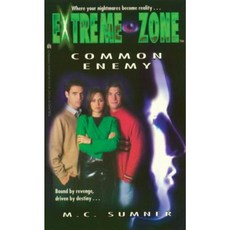 Common Enemy Paperback, Simon Pulse