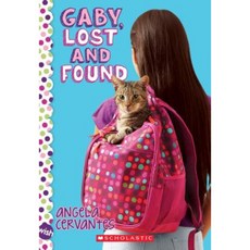 Gaby Lost and Found: A Wish Novel Paperback, Scholastic Paperbacks
