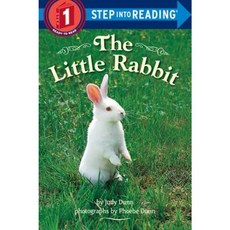 The Little Rabbit Library Binding, Random House Books for Young Readers