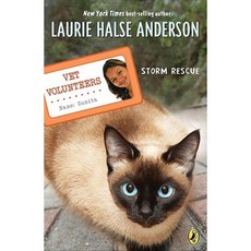 Storm Rescue Paperback, Puffin Books