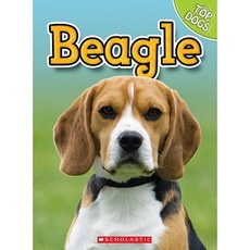 Beagle Library Binding, Scholastic