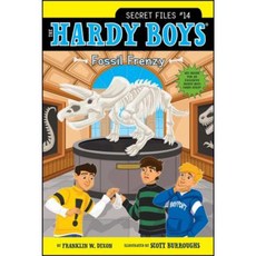 Fossil Frenzy Paperback, Aladdin Paperbacks