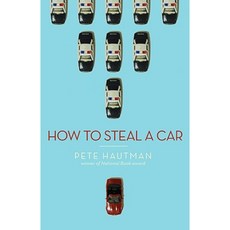 How to Steal a Car Hardcover, Scholastic Press