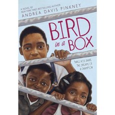 Bird in a Box Paperback, Little, Brown Books for Young Readers