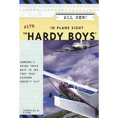 In Plane Sight Paperback, Aladdin Paperbacks