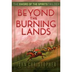 Beyond the Burning Lands Paperback, Aladdin Paperbacks