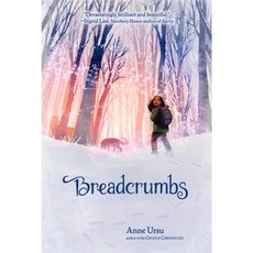 Breadcrumbs Paperback, Walden Pond Press