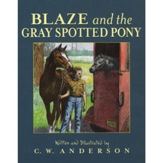 Blaze and the Gray Spotted Pony Paperback, Aladdin Paperbacks